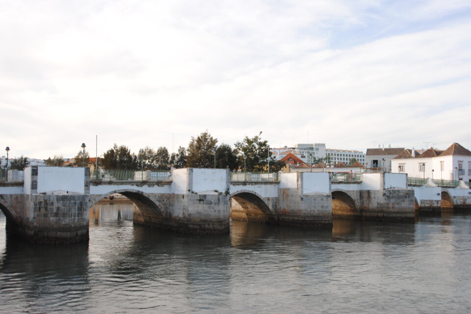 gallery_image