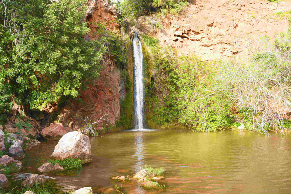 gallery_image