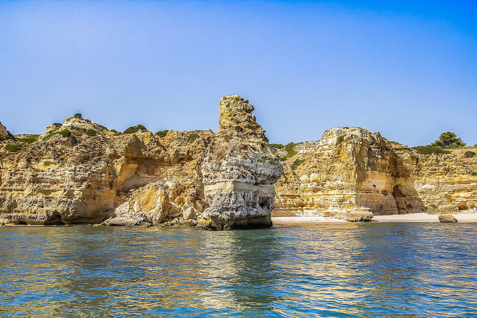 gallery_image